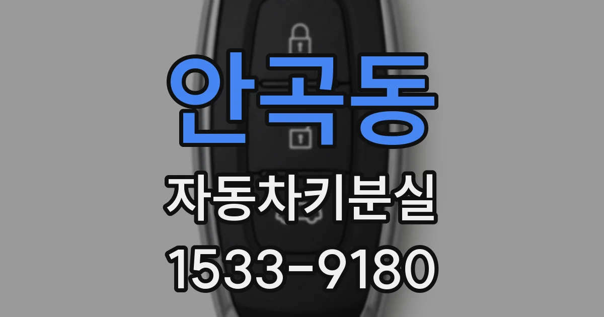 안곡동 자동차키분실