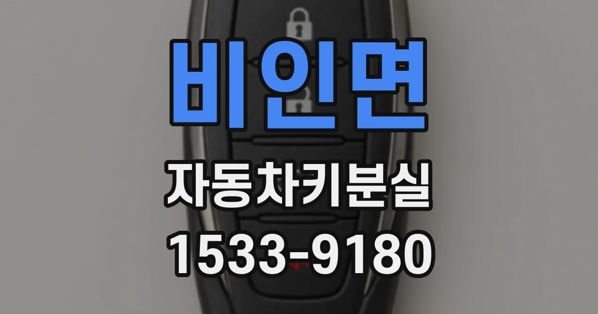 비인면 자동차키분실
