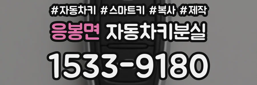 응봉면 자동차키분실