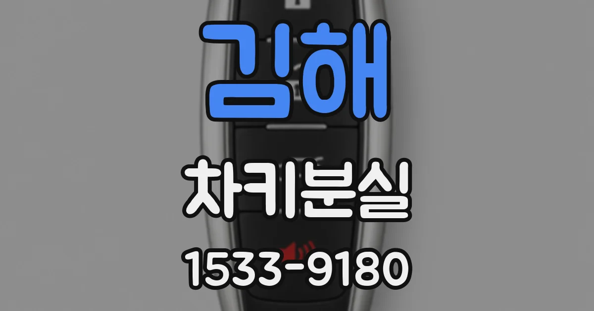 김해 차키분실