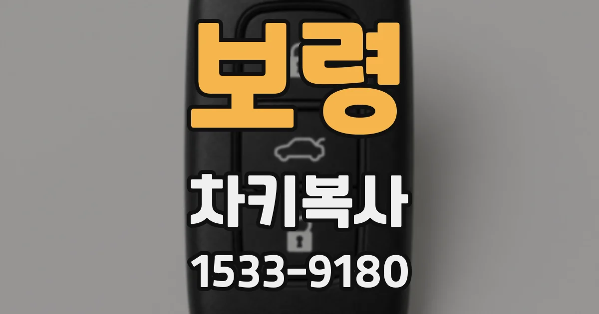 보령 차키복사