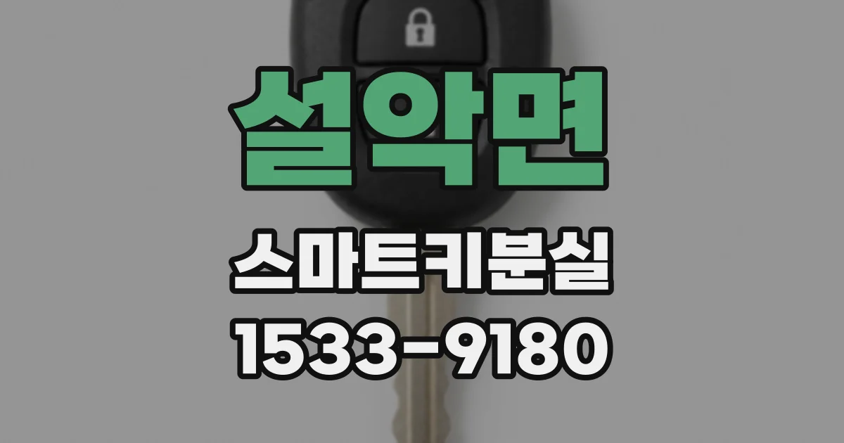 설악면 스마트키분실