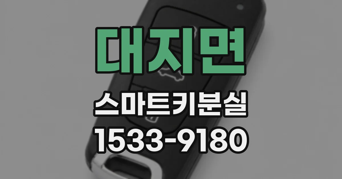 대지면 스마트키분실