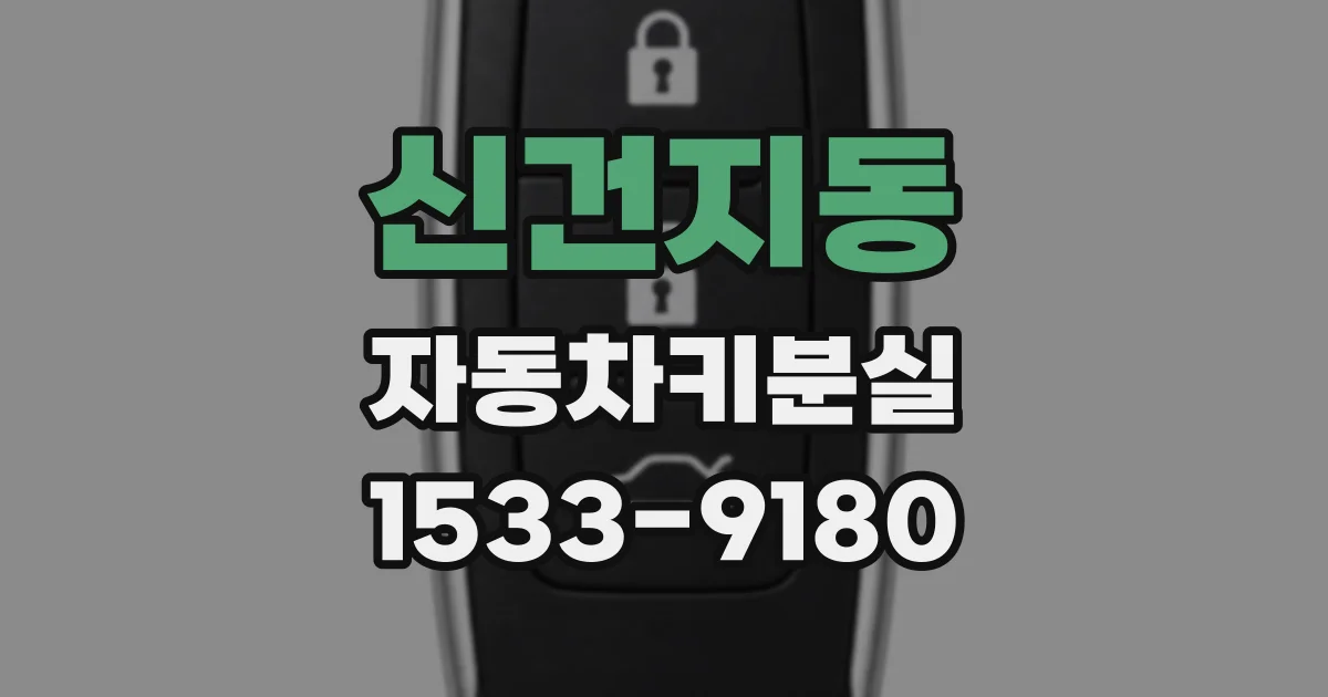 신건지동 자동차키분실
