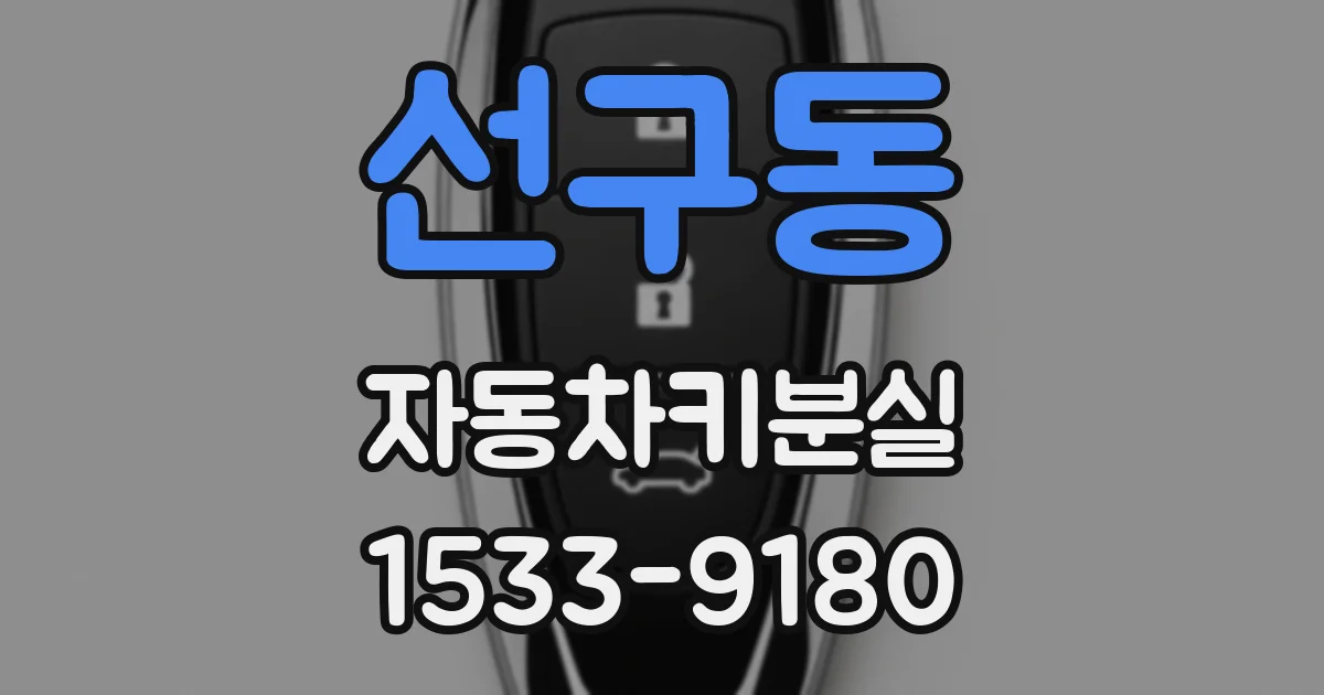 선구동 자동차키분실