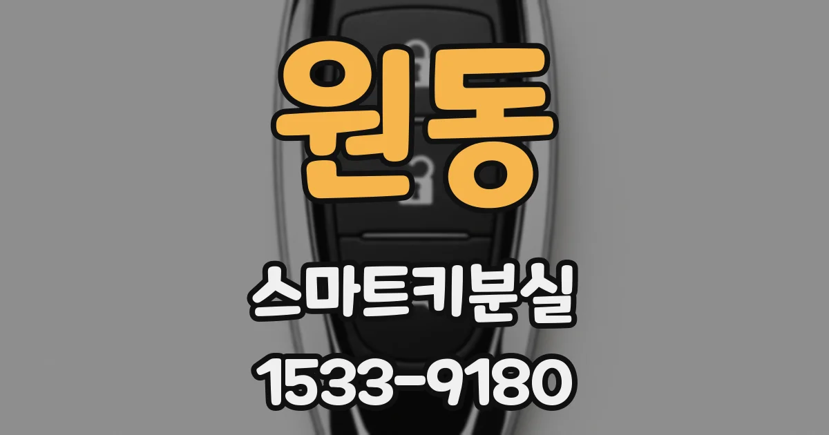 원동 스마트키분실