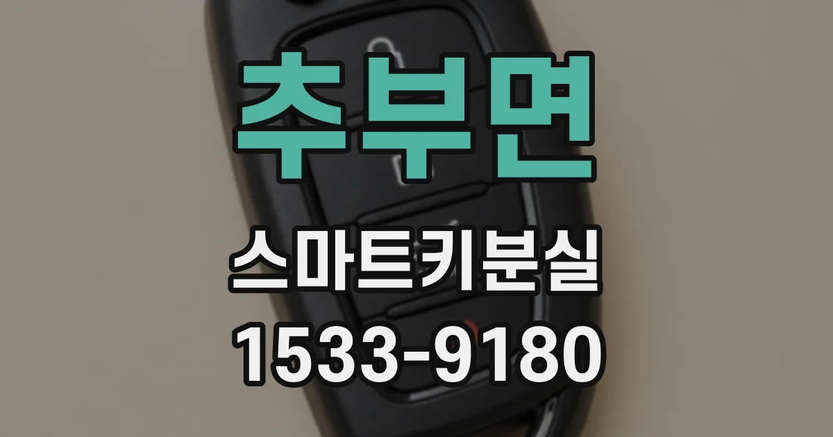 추부면 스마트키분실