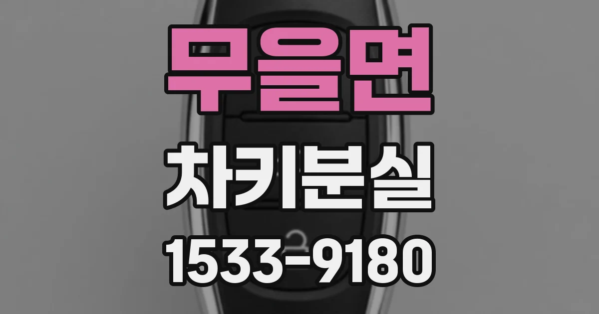 무을면 차키분실