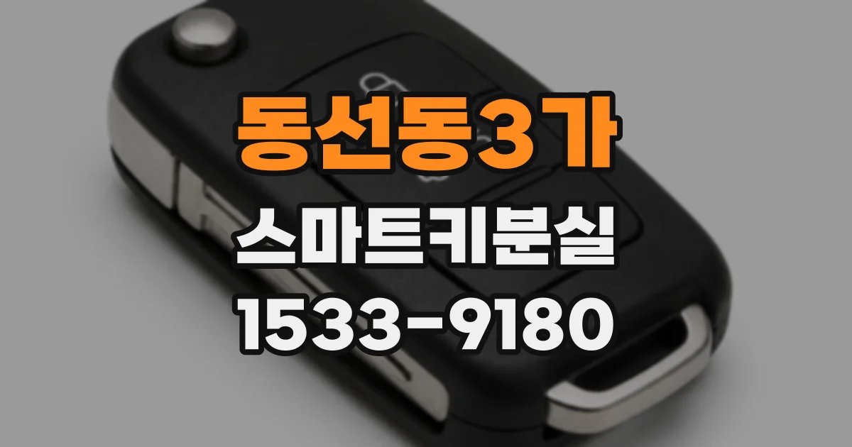 동선동3가 스마트키분실