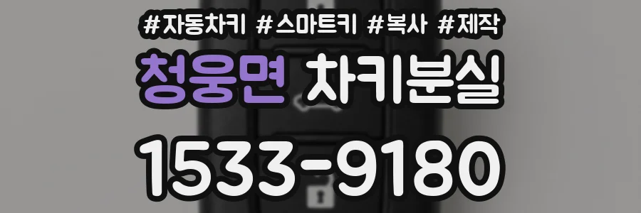 청웅면 차키분실