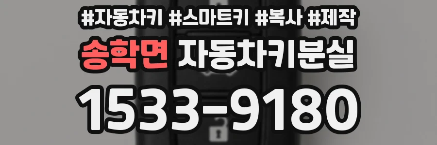 송학면 자동차키분실
