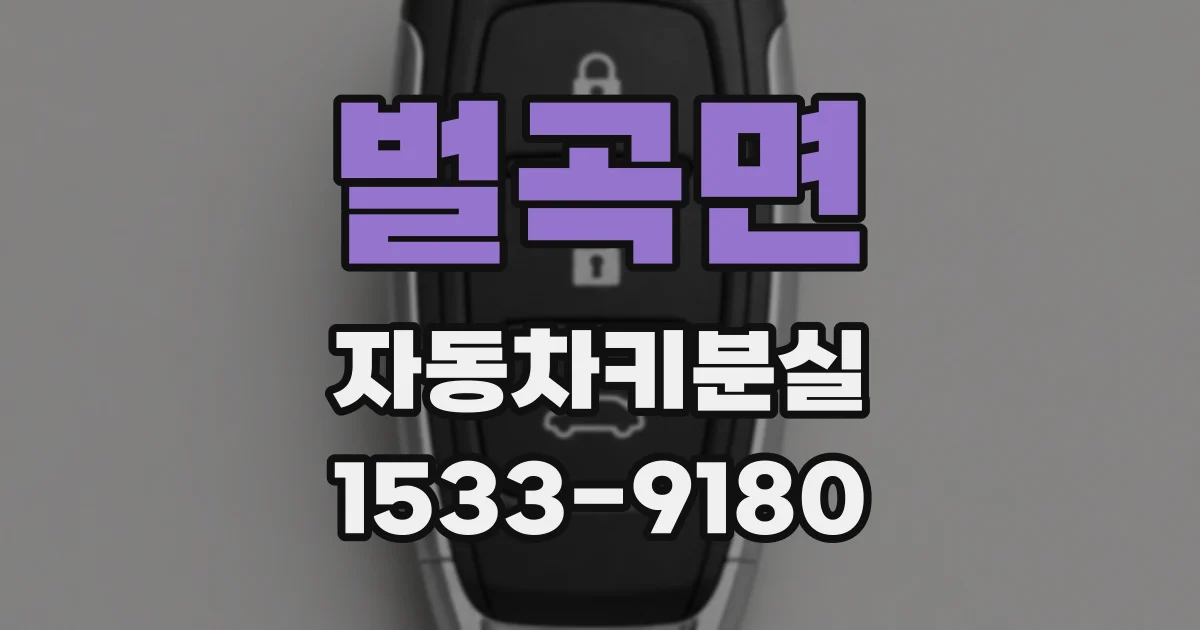 벌곡면 자동차키분실