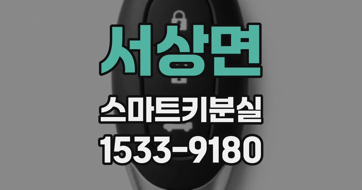 서상면 스마트키분실