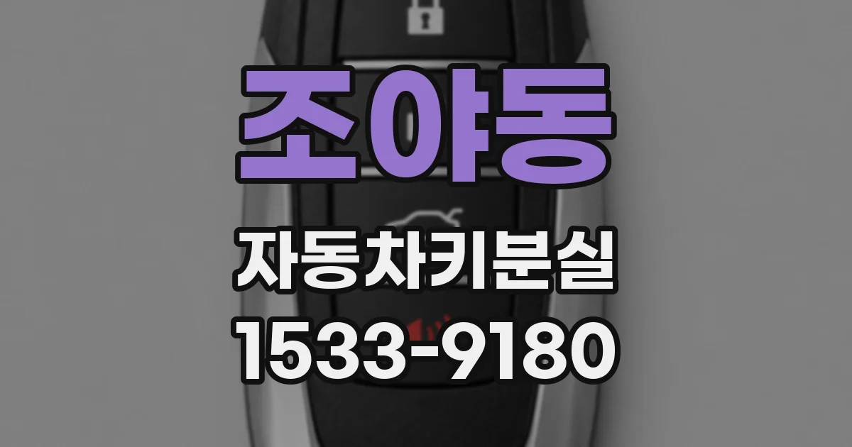조야동 자동차키분실