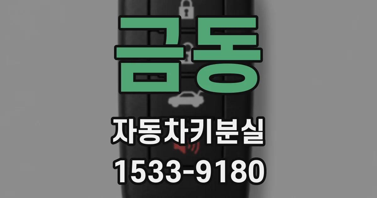 금동 자동차키분실