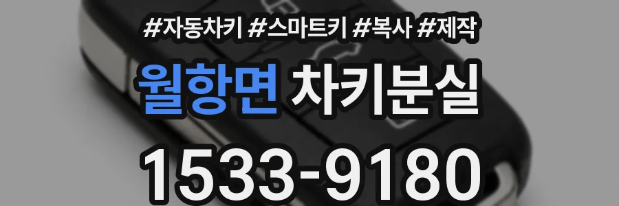 월항면 차키분실
