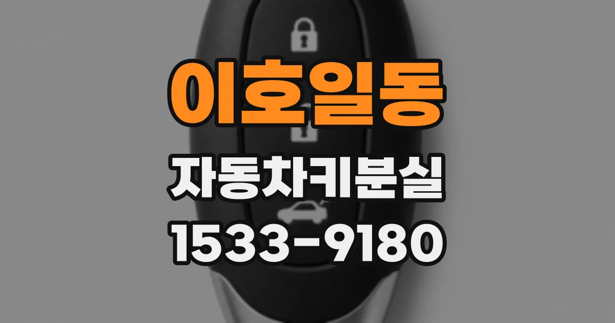 이호일동 자동차키분실
