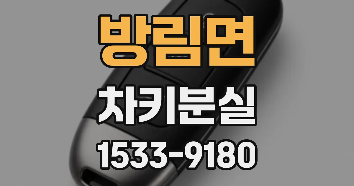 방림면 차키분실