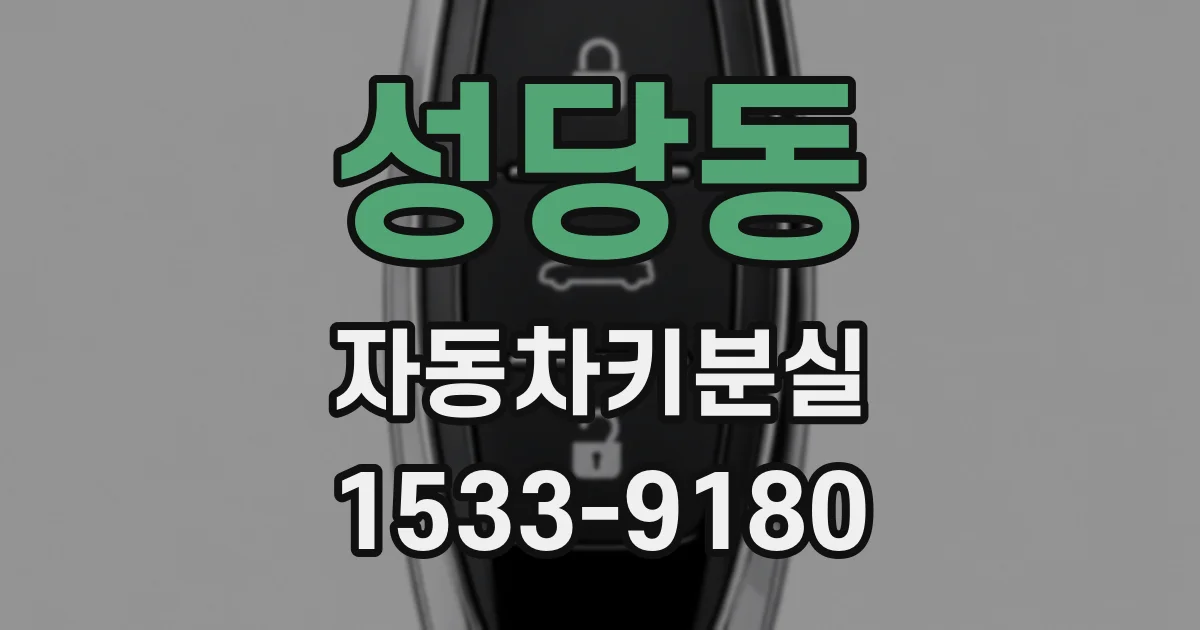 성당동 자동차키분실