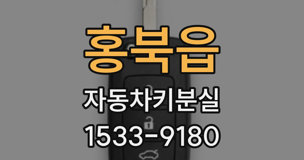 홍북읍 자동차키분실