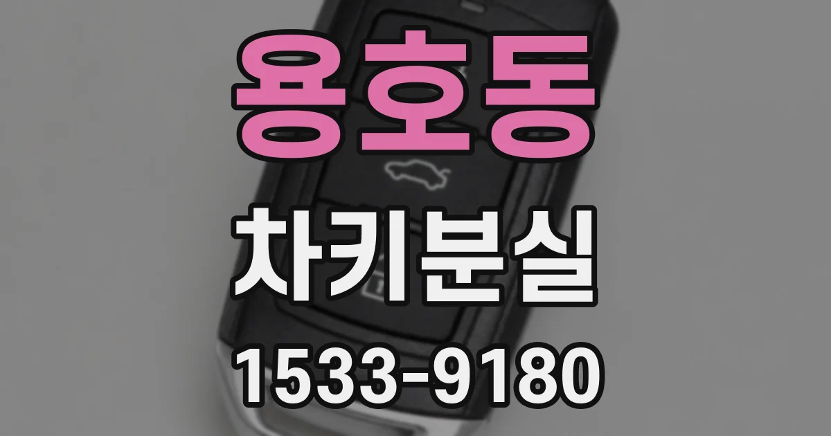 용호동 차키분실