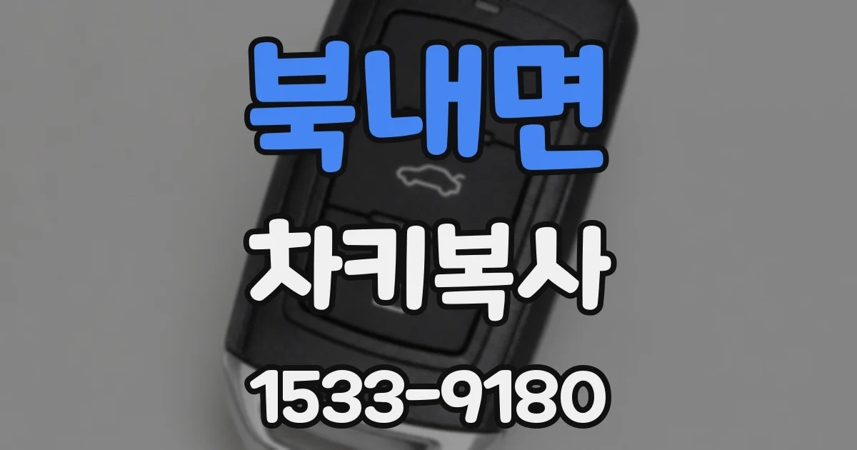 북내면 차키복사