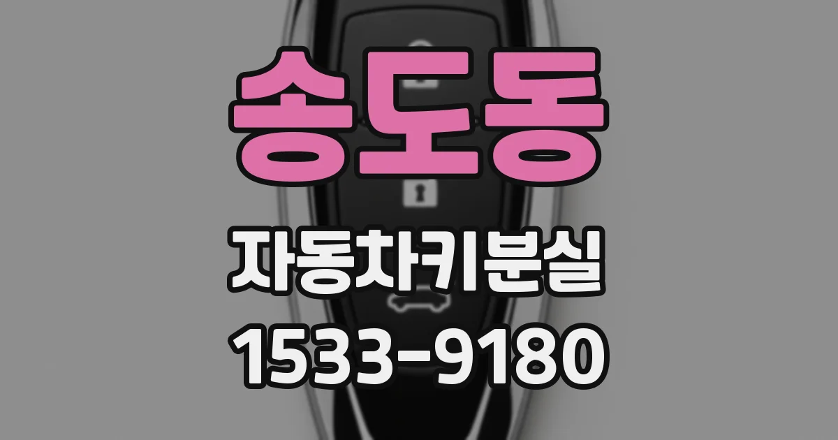 송도동 자동차키분실