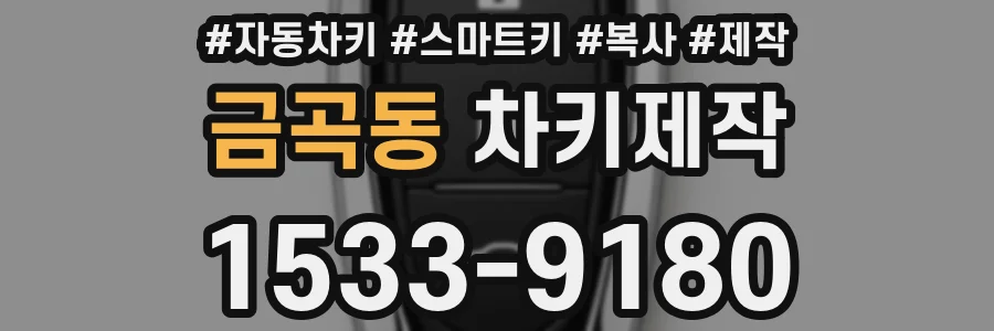 금곡동 차키제작