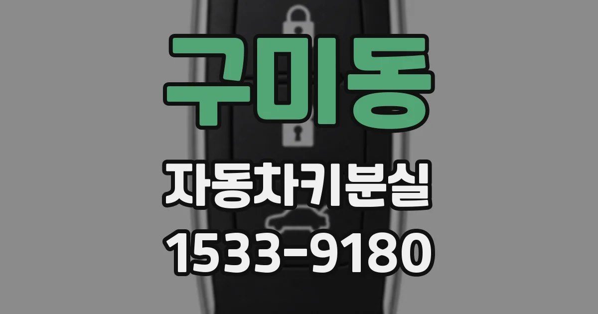 구미동 자동차키분실