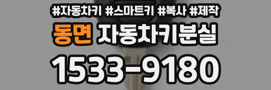 동면 자동차키분실