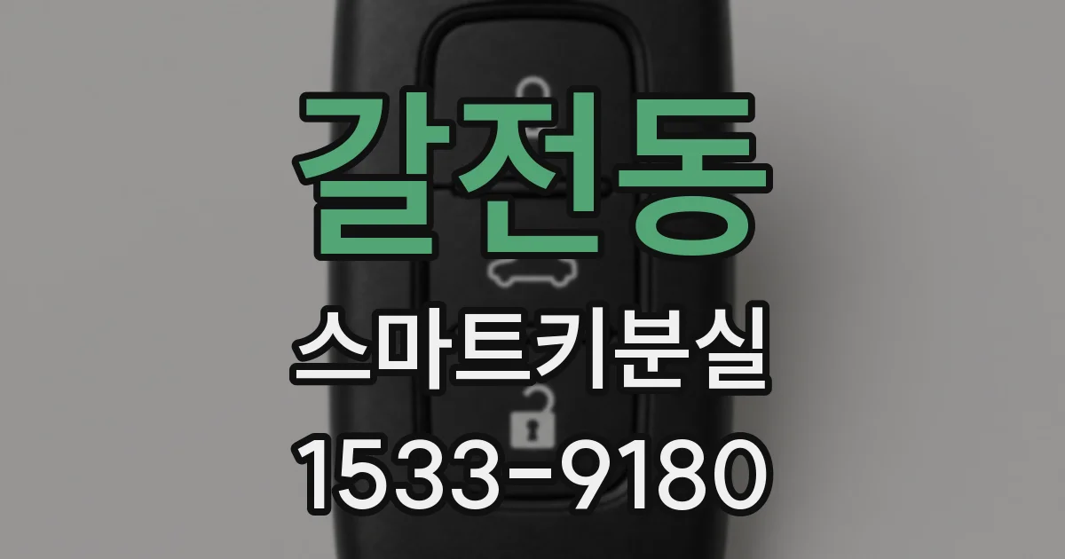 갈전동 스마트키분실