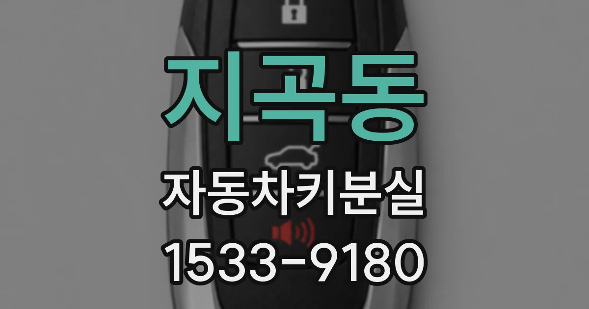 지곡동 자동차키분실