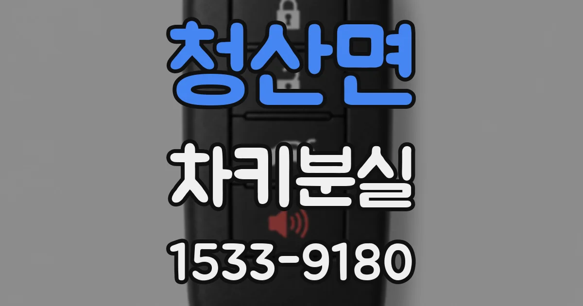 청산면 차키분실