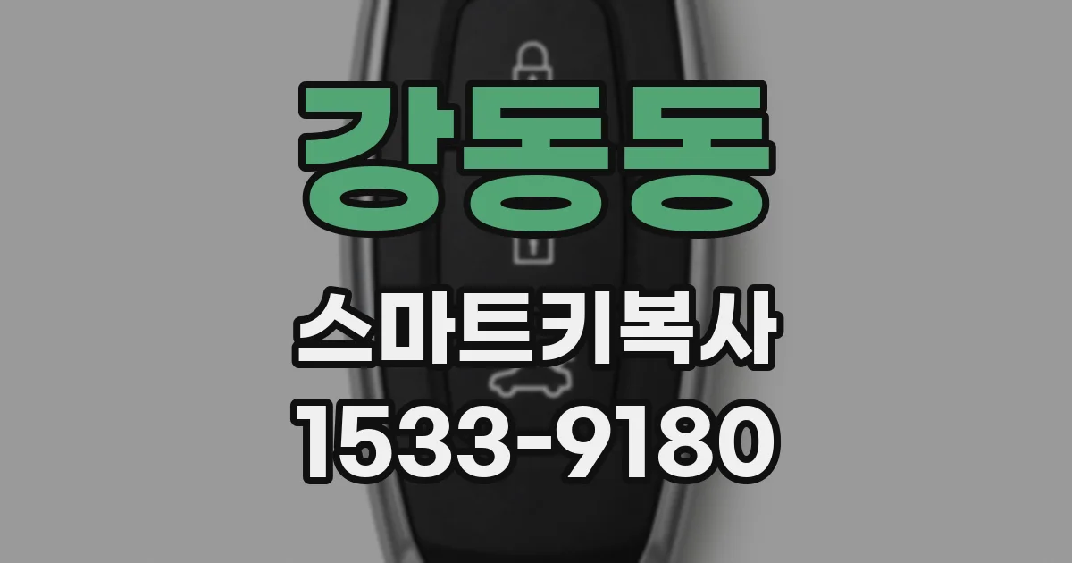 강동동 스마트키복사
