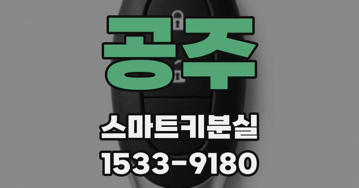공주 스마트키분실