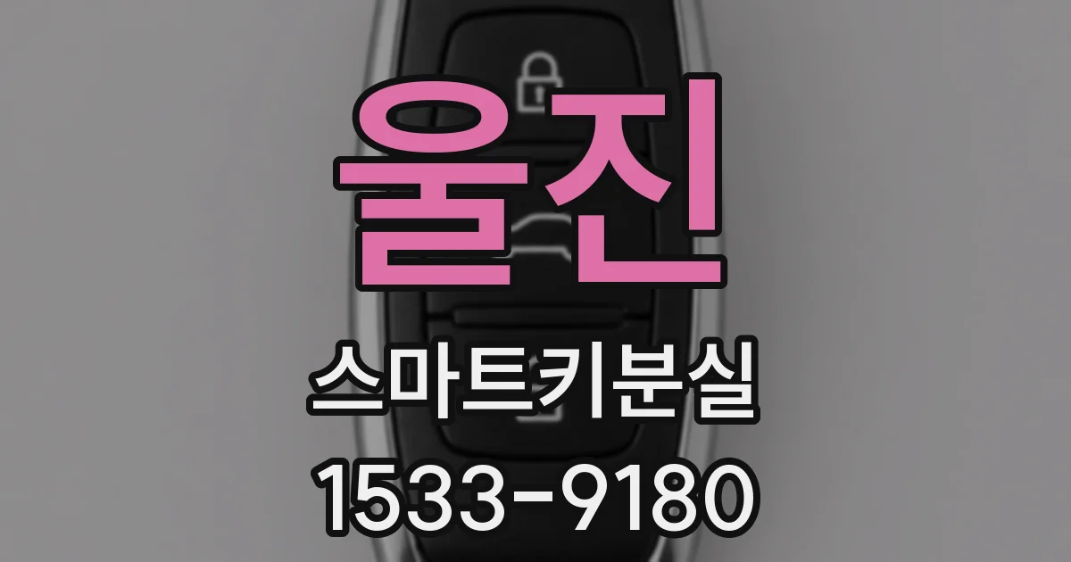 울진 스마트키분실