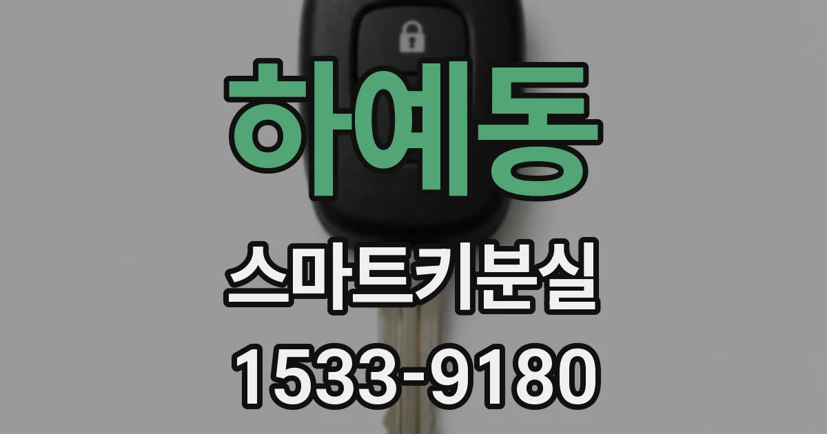 하예동 스마트키분실
