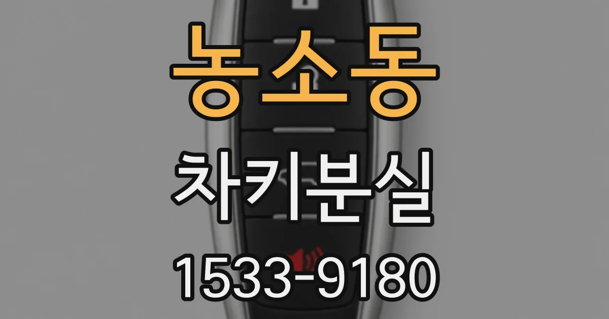 농소동 차키분실