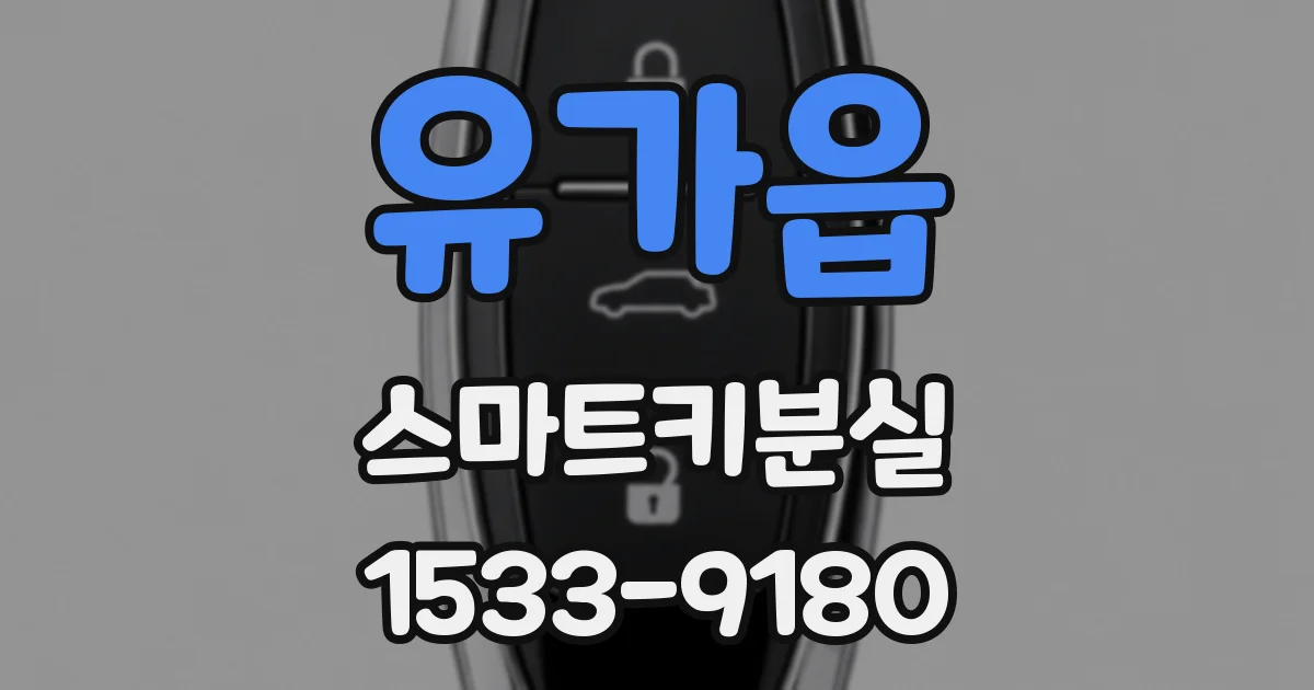 유가읍 스마트키분실