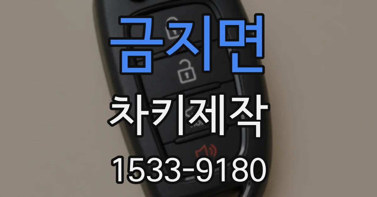 금지면 차키제작