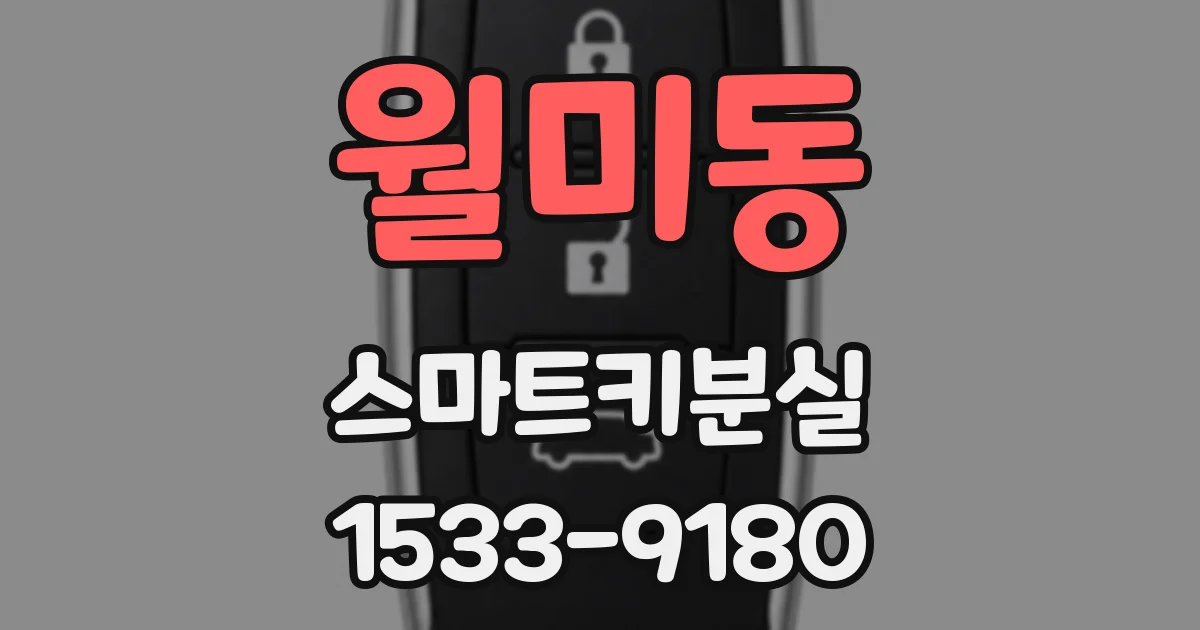 월미동 스마트키분실