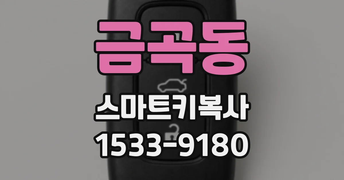 금곡동 스마트키복사