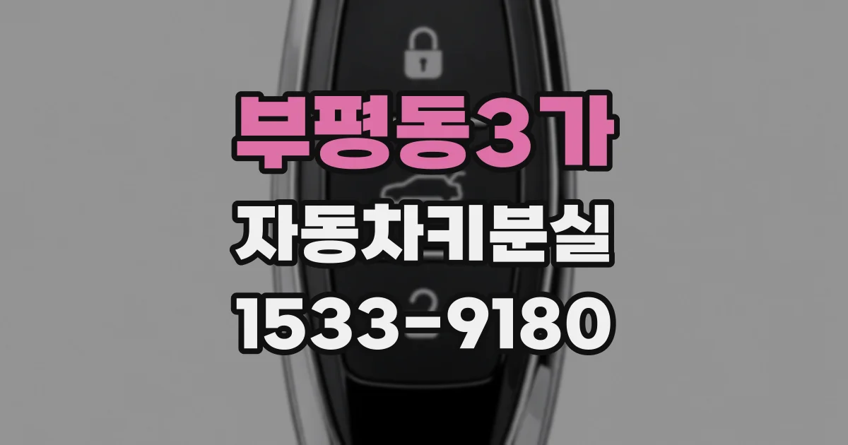부평동3가 자동차키분실