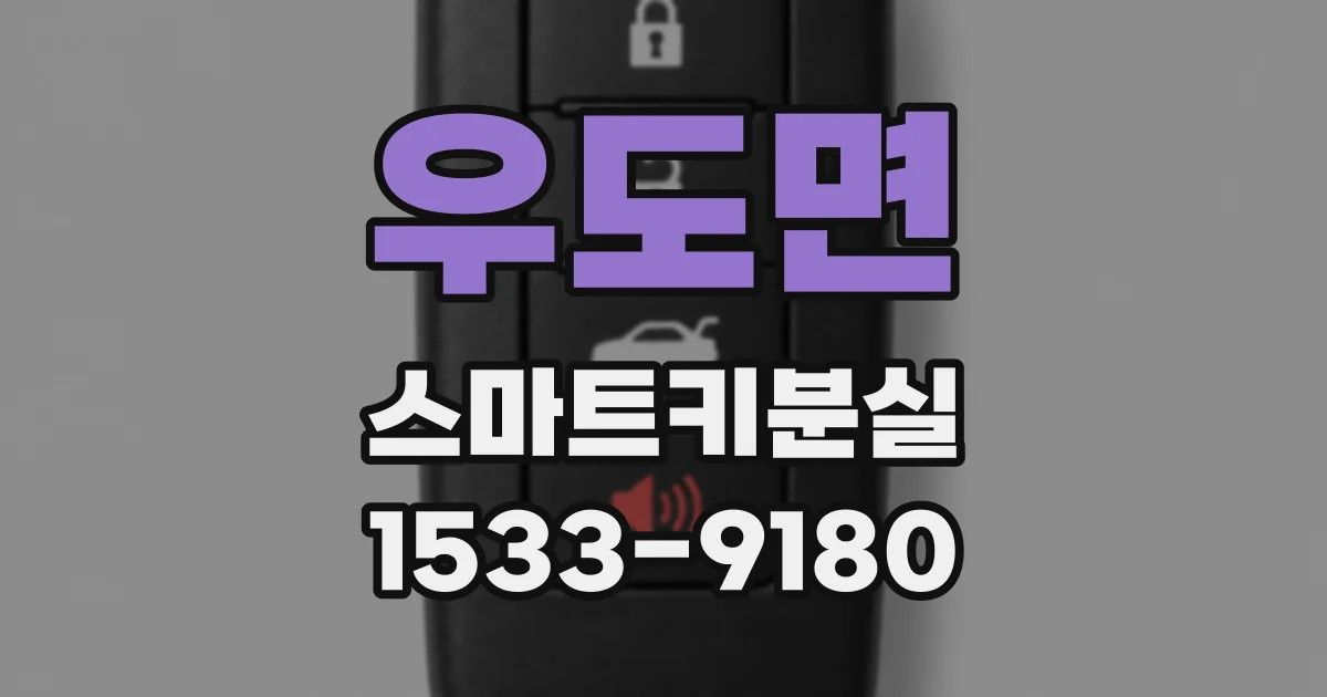 우도면 스마트키분실