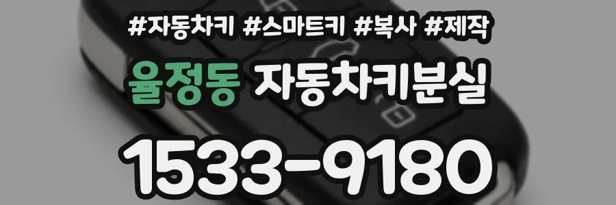 율정동 자동차키분실
