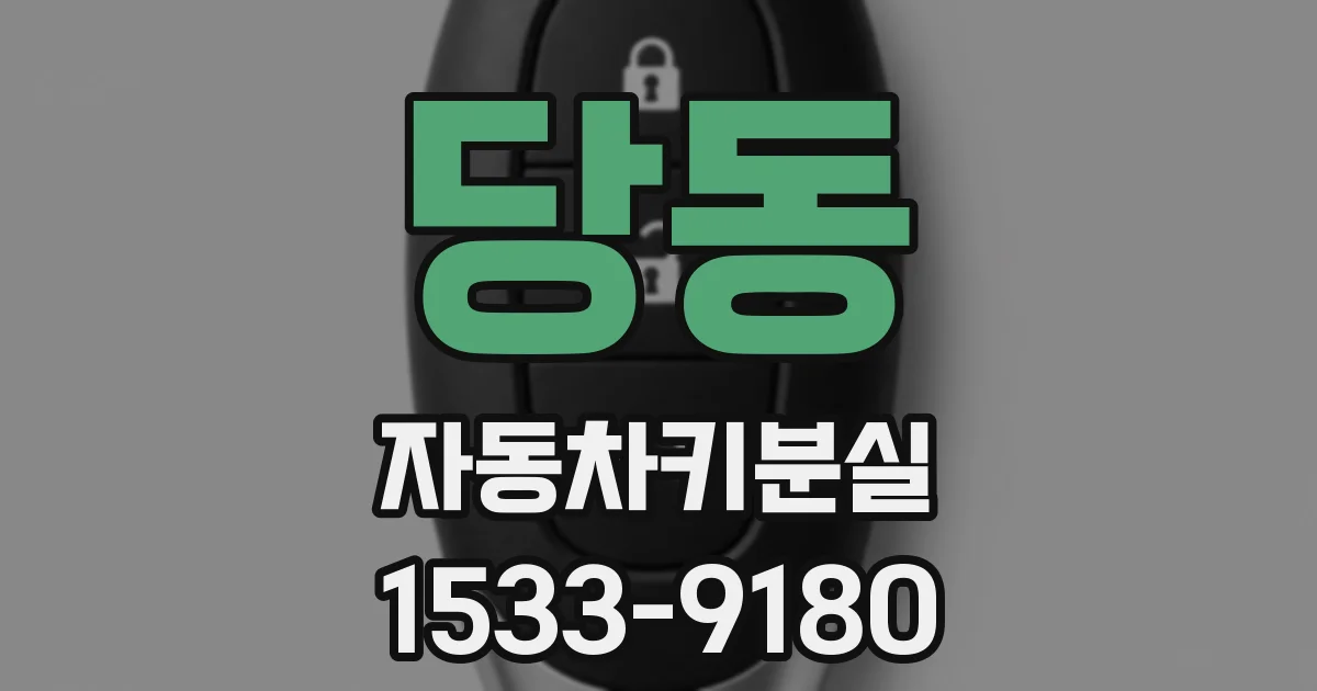 당동 자동차키분실