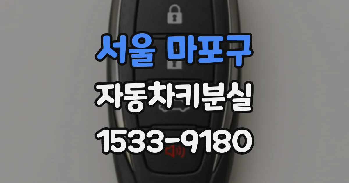 서울 마포구 자동차키분실