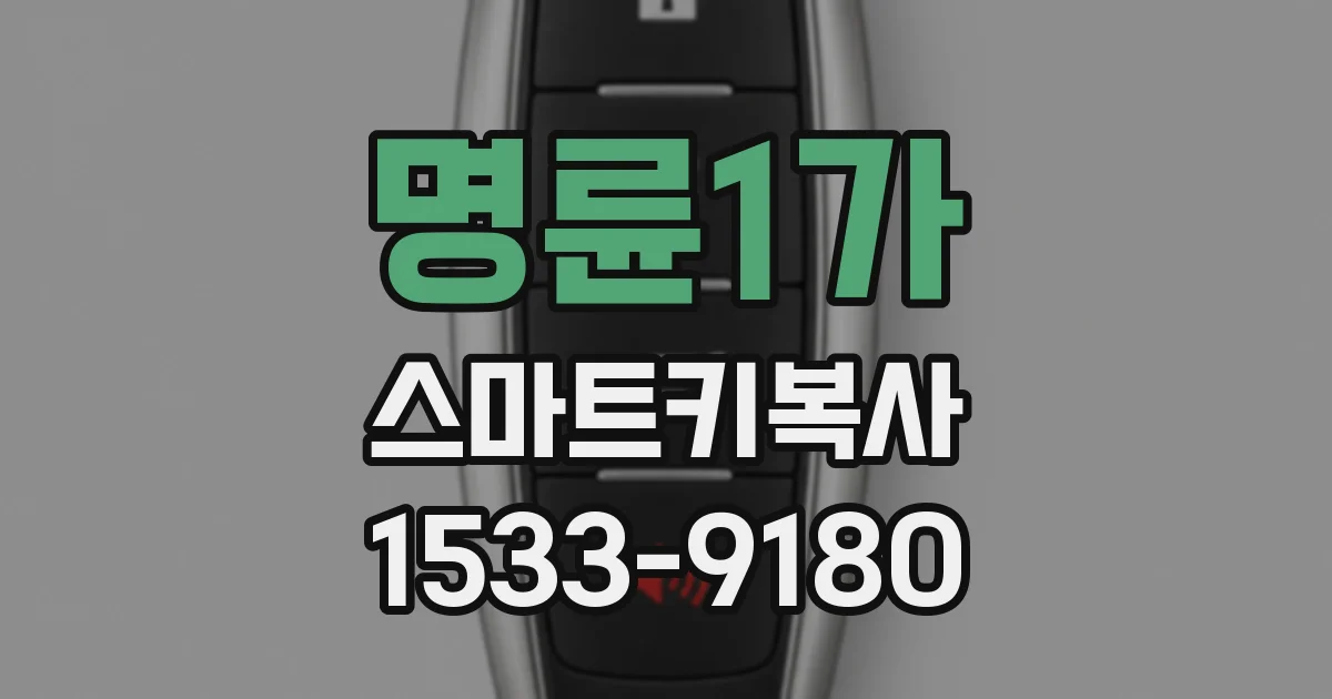 명륜1가 스마트키복사