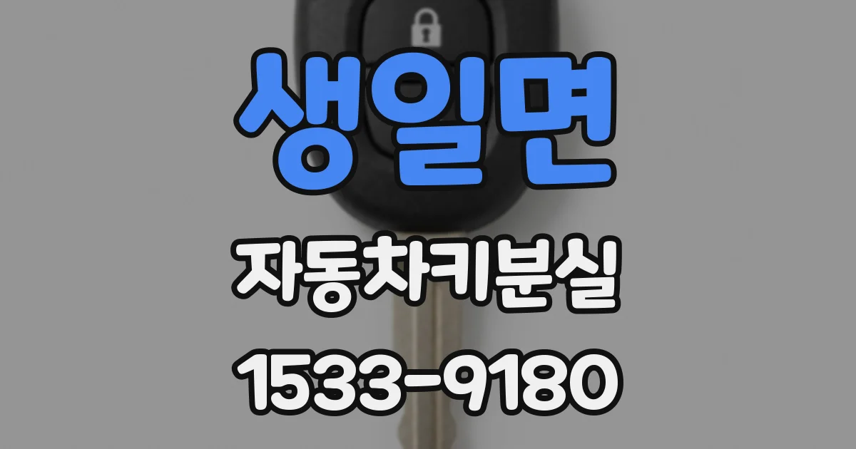 생일면 자동차키분실