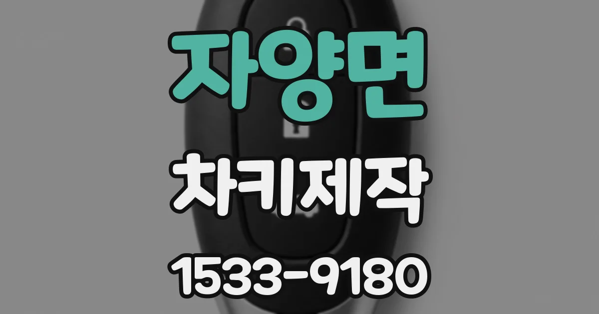 자양면 차키제작